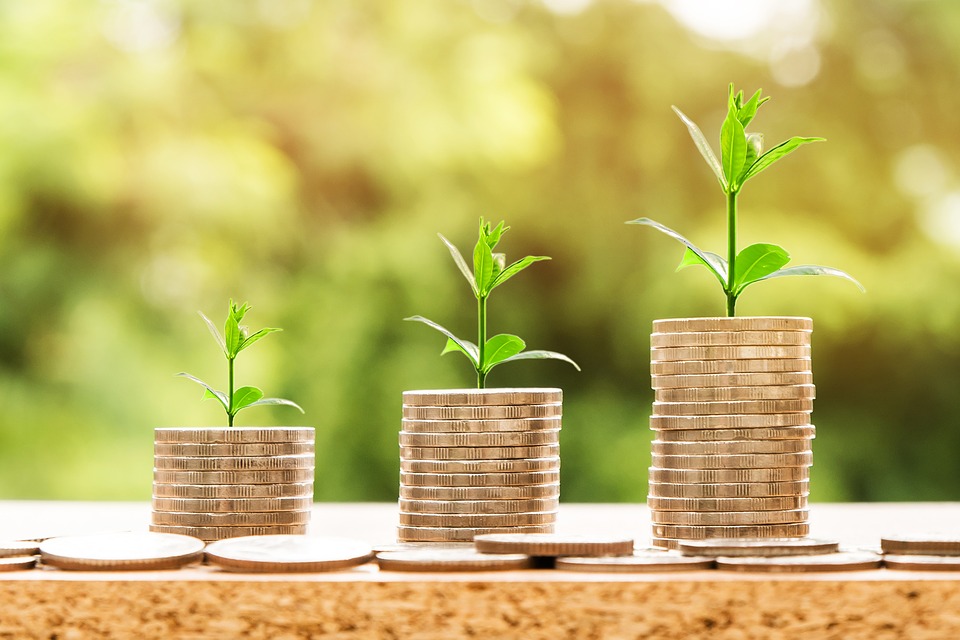Asta BTP cos'è e come funziona l'acquisto dei titoli?
